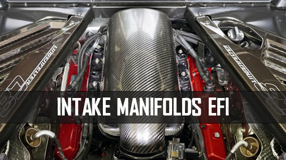 Intake Manifolds EFI